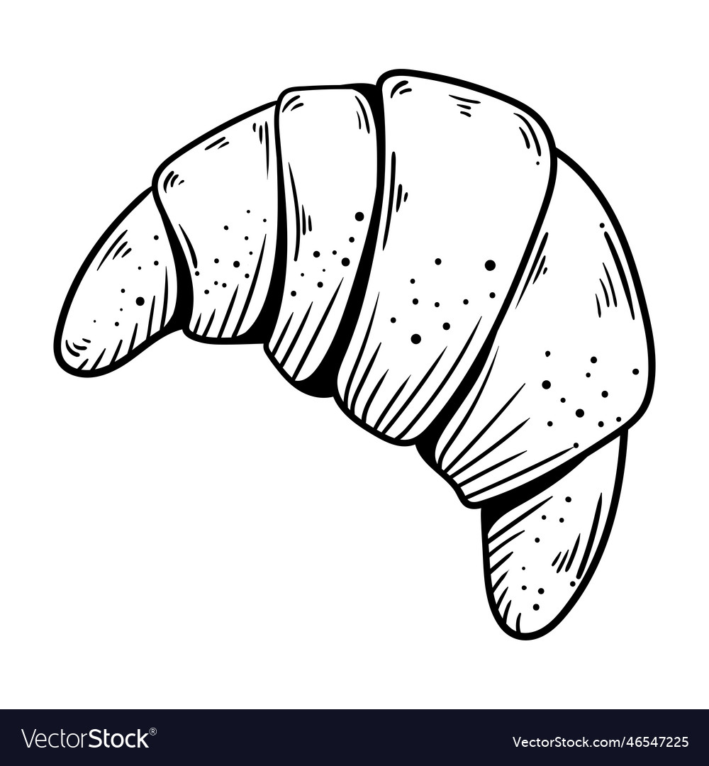 Fresh baked croissant hand drawn Royalty Free Vector Image