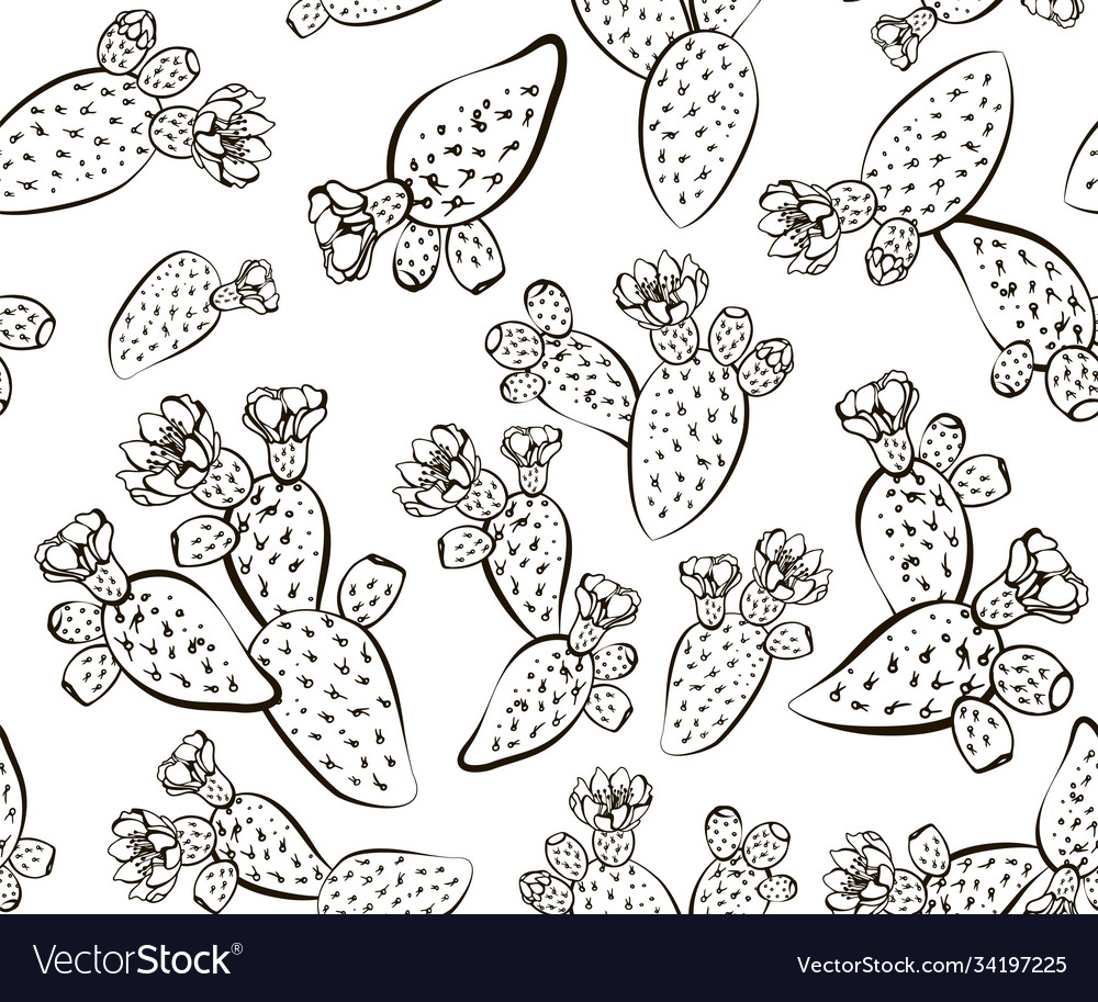 Prickly Pear Cactus Pattern