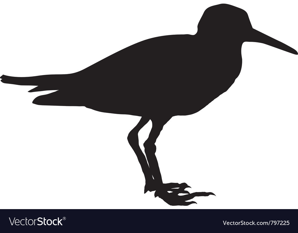 Sandpiper Silhouette
