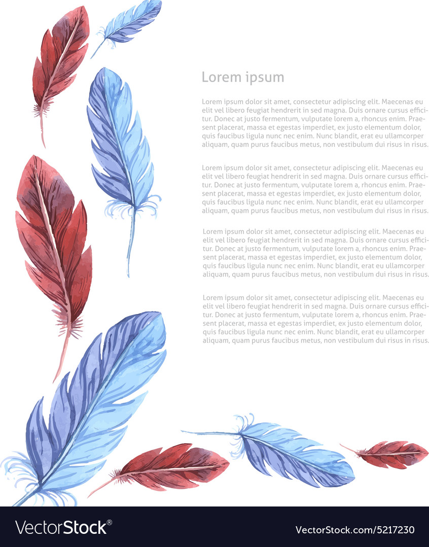 Card template watercolor feathers