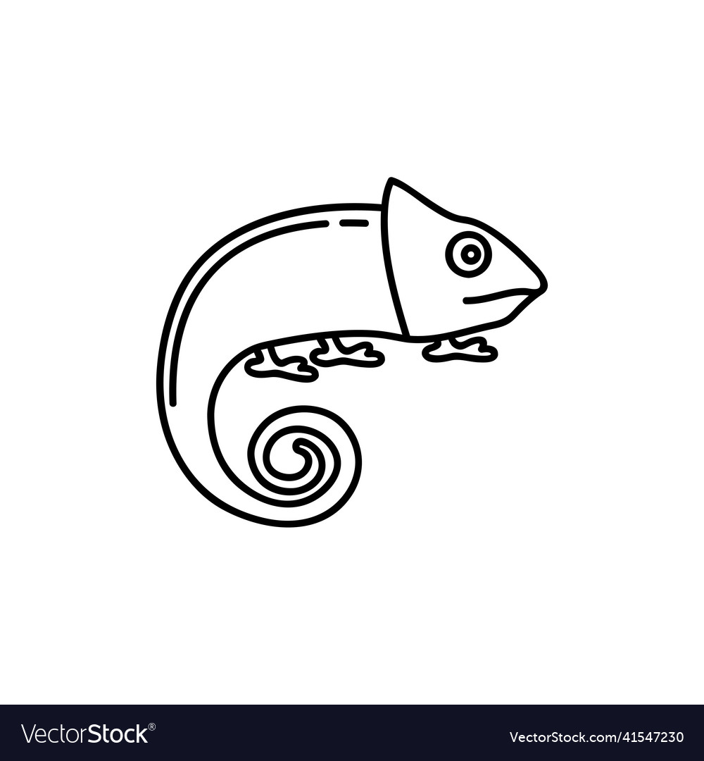 Chameleon lizard line icon linear style sign vector image Chameleon lizard line icon linear style sign