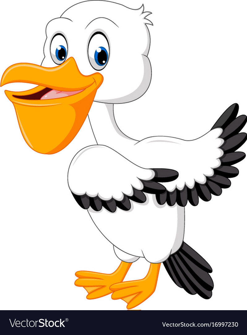 Cute pelican cartoon Royalty Free Vector Image