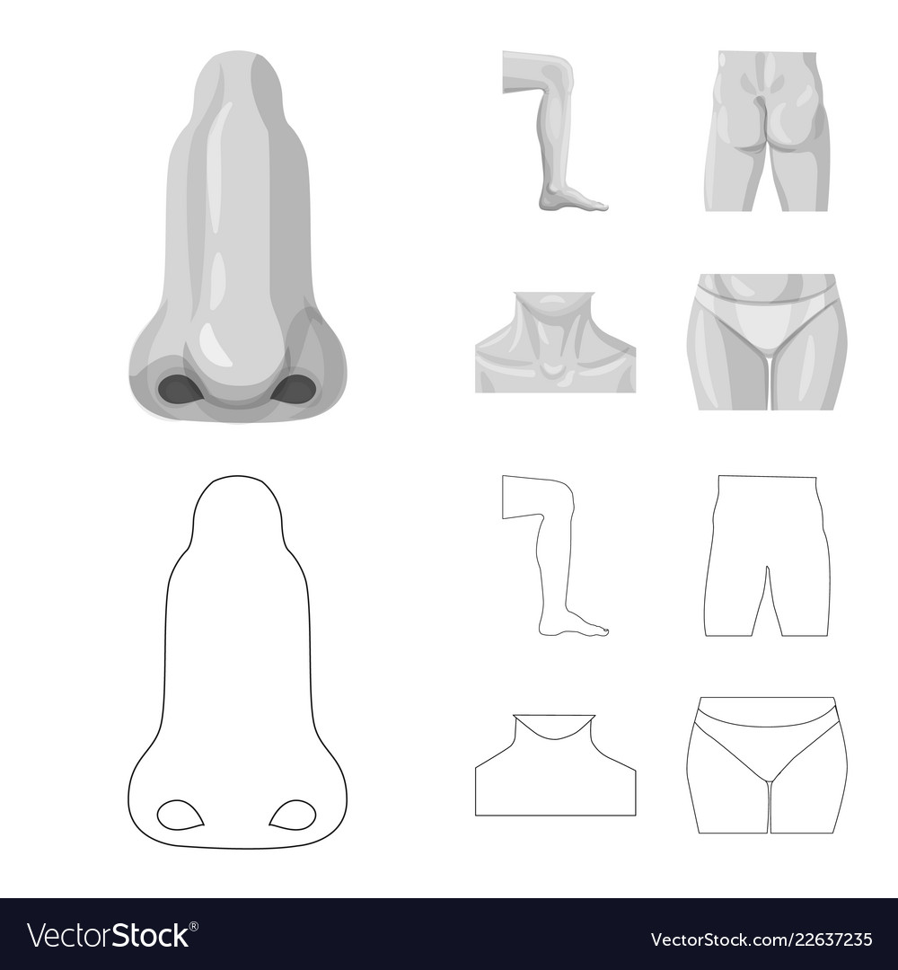 Isolated object of human and part symbol set vector image Isolated object of human and part symbol set