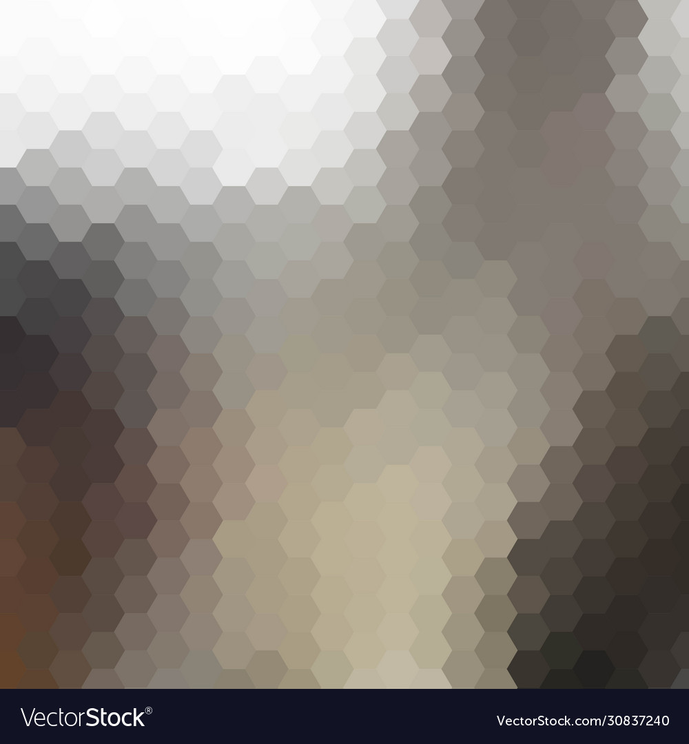 Abstract gray hexagon background layout vector image Abstract gray hexagon background layout