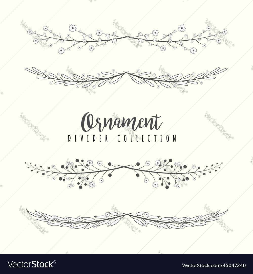 Hand drawn floral divider borders collection