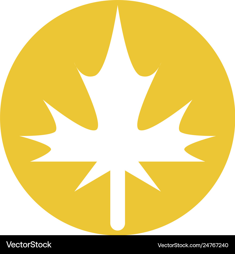 Maple leaf Royalty Free Vector Image - VectorStock