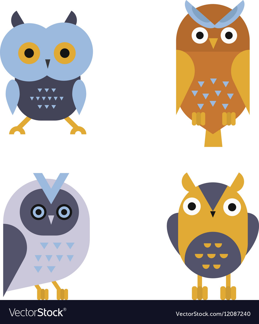 Owl wild bird cartoon