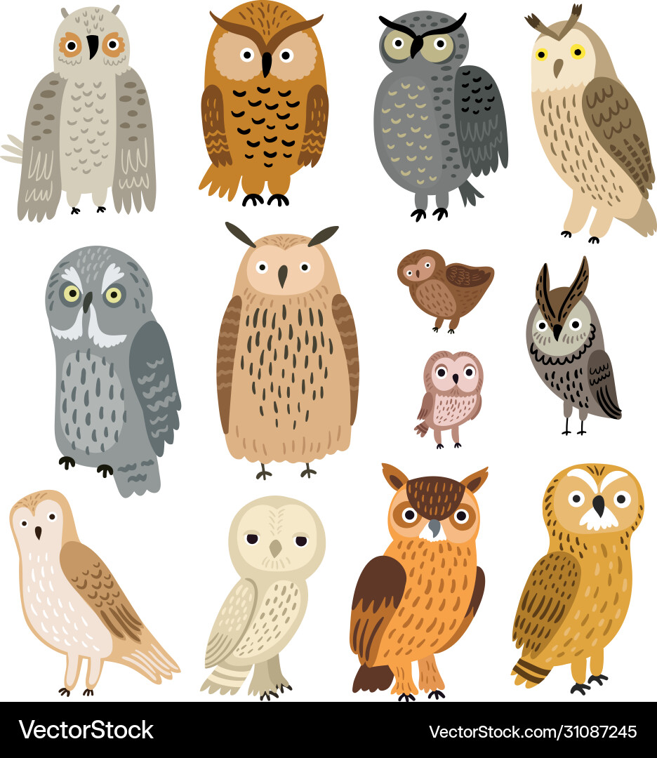 Owls set different Royalty Free Vector Image - VectorStock