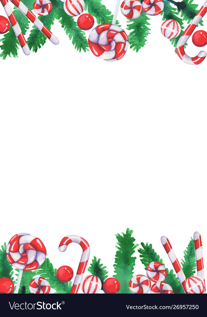 Christmas candies with pine leaves watercolor Vector Image