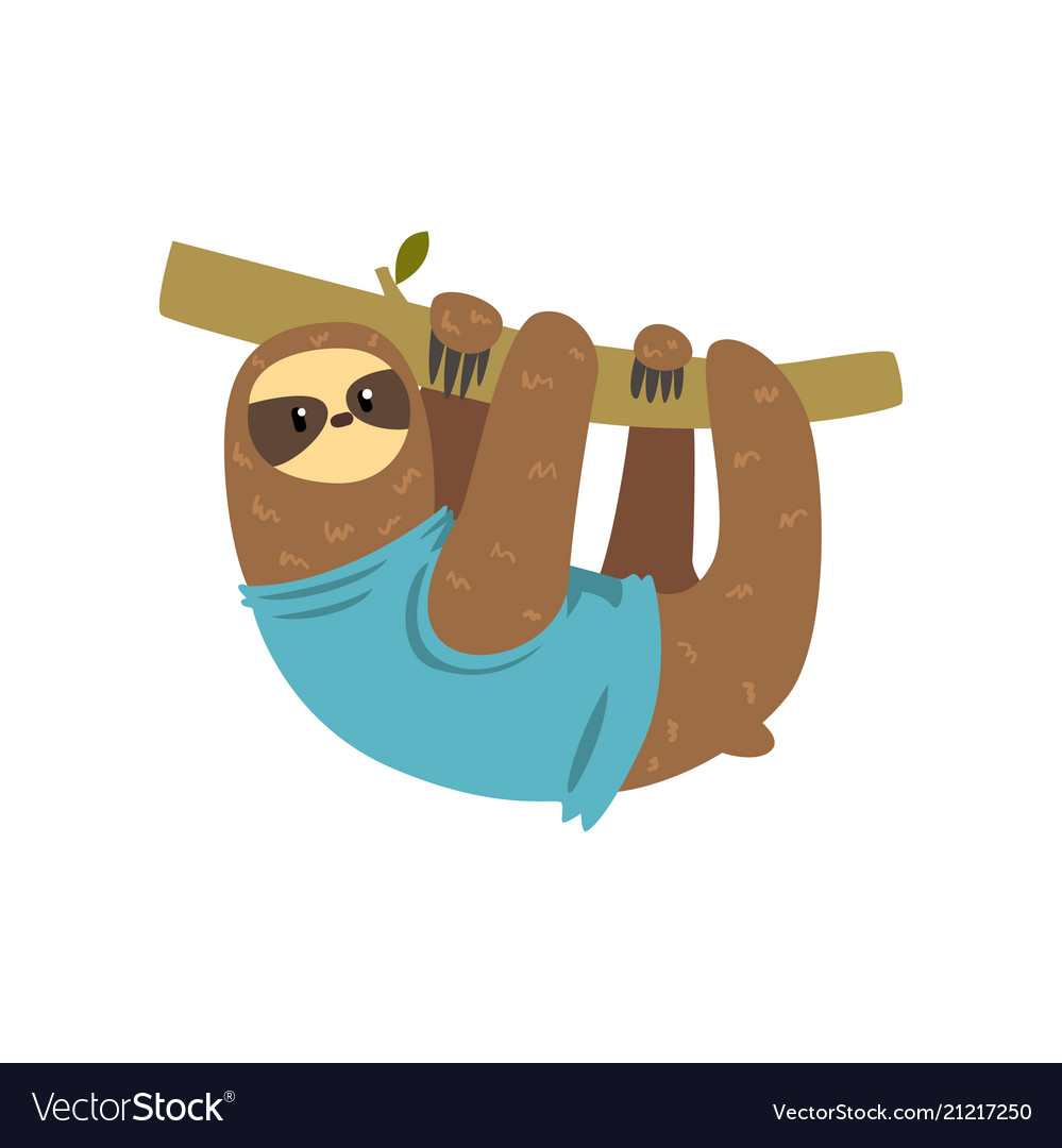 Cute Sloth Hanging in a Tree