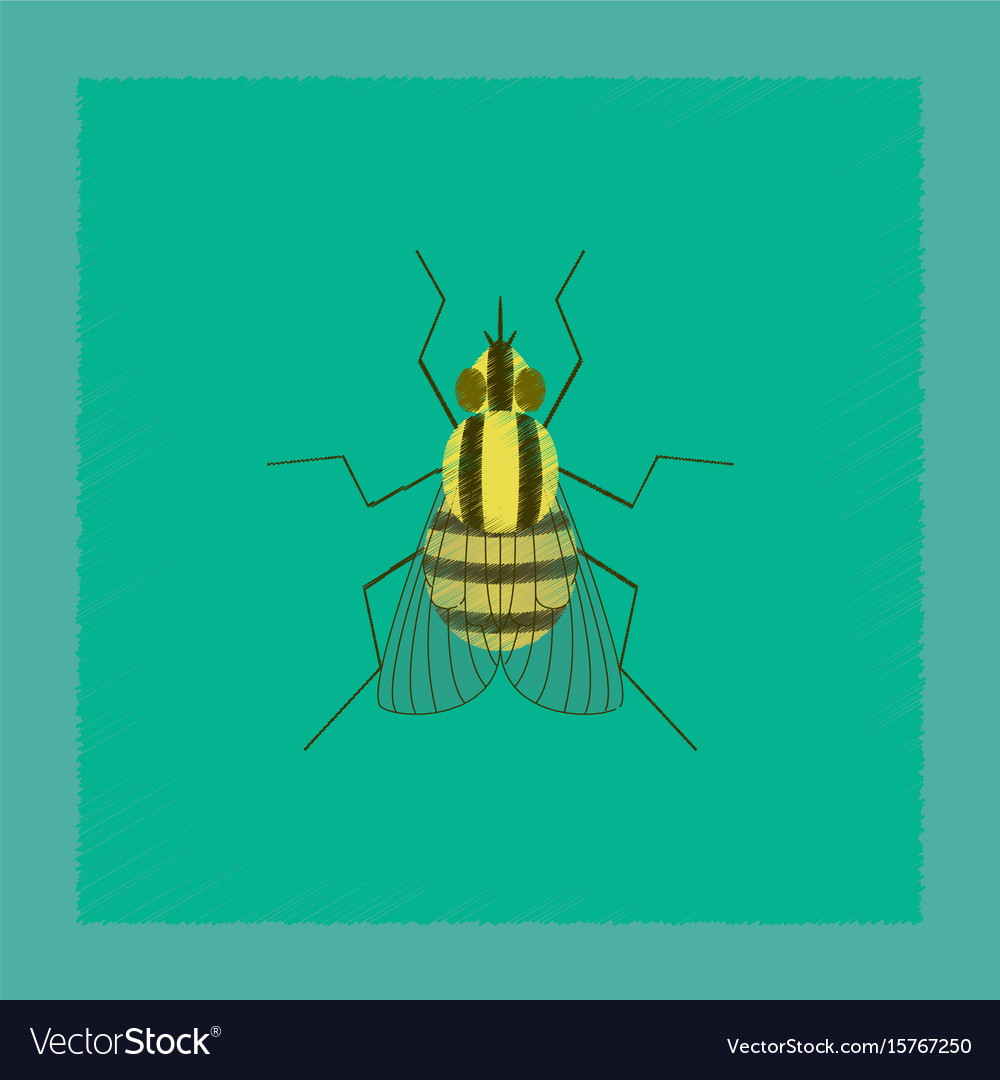 Flat shading style insect fly