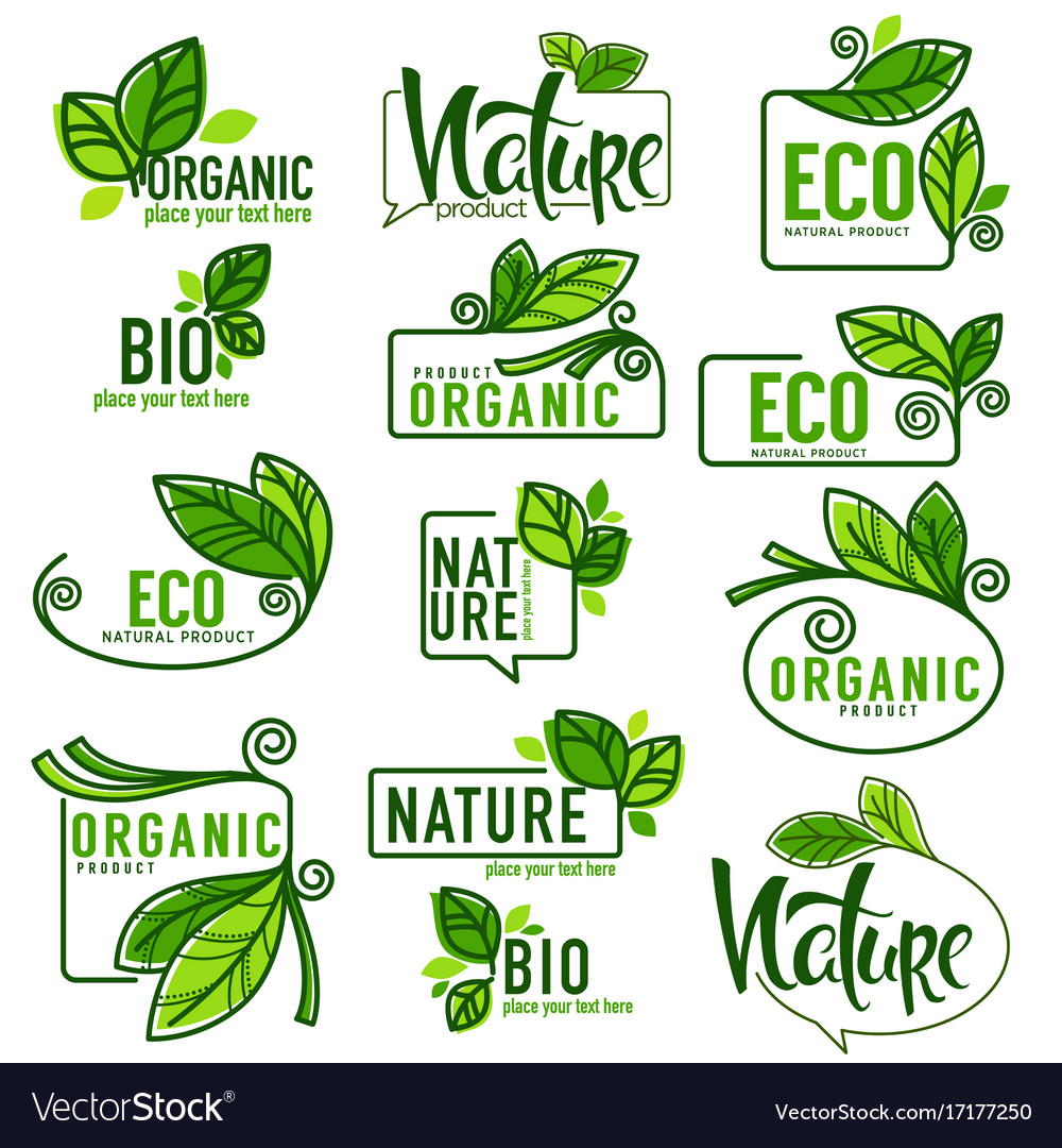 Large collection of doodle eco bio nature and Vector Image