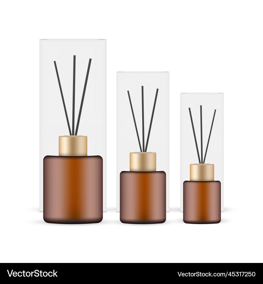 Packaging for aroma reed diffuser amber bottles Vector Image