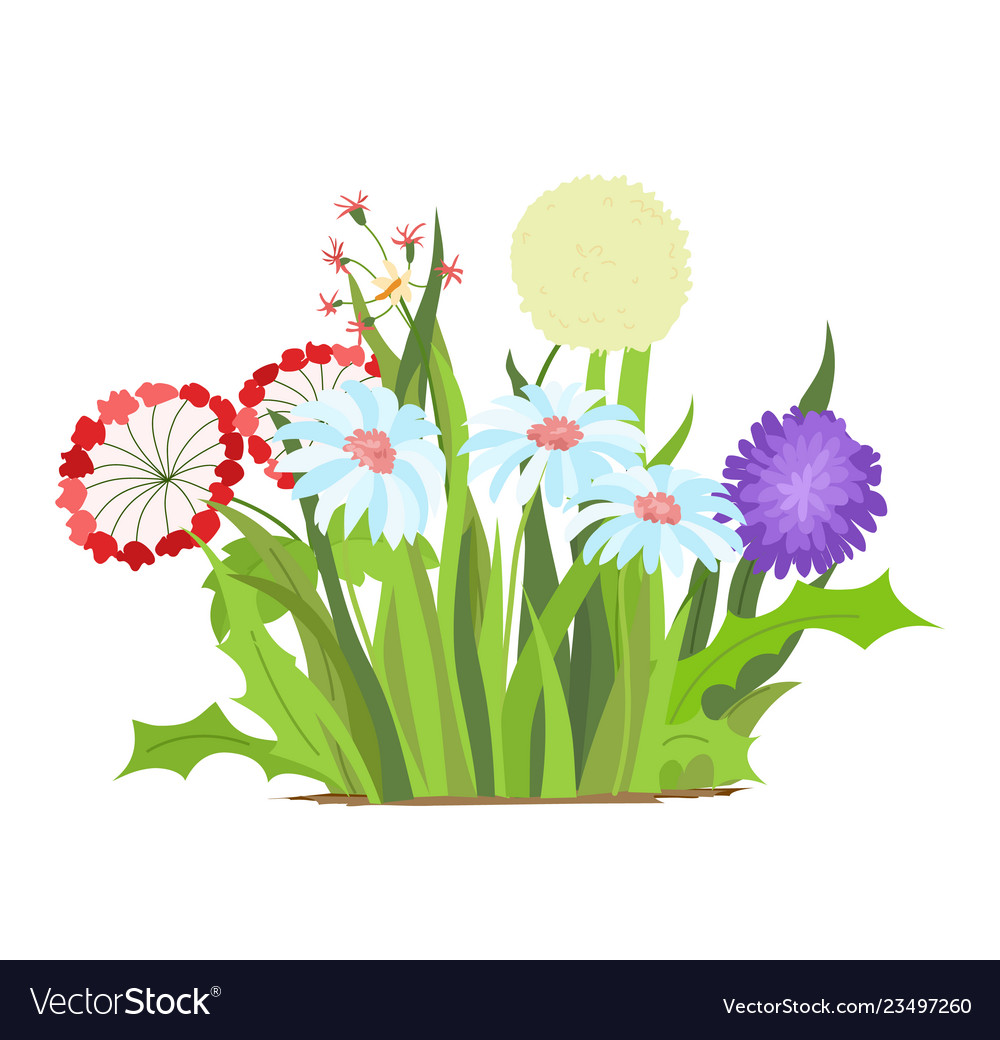 Set of wild forest and garden flowers spring