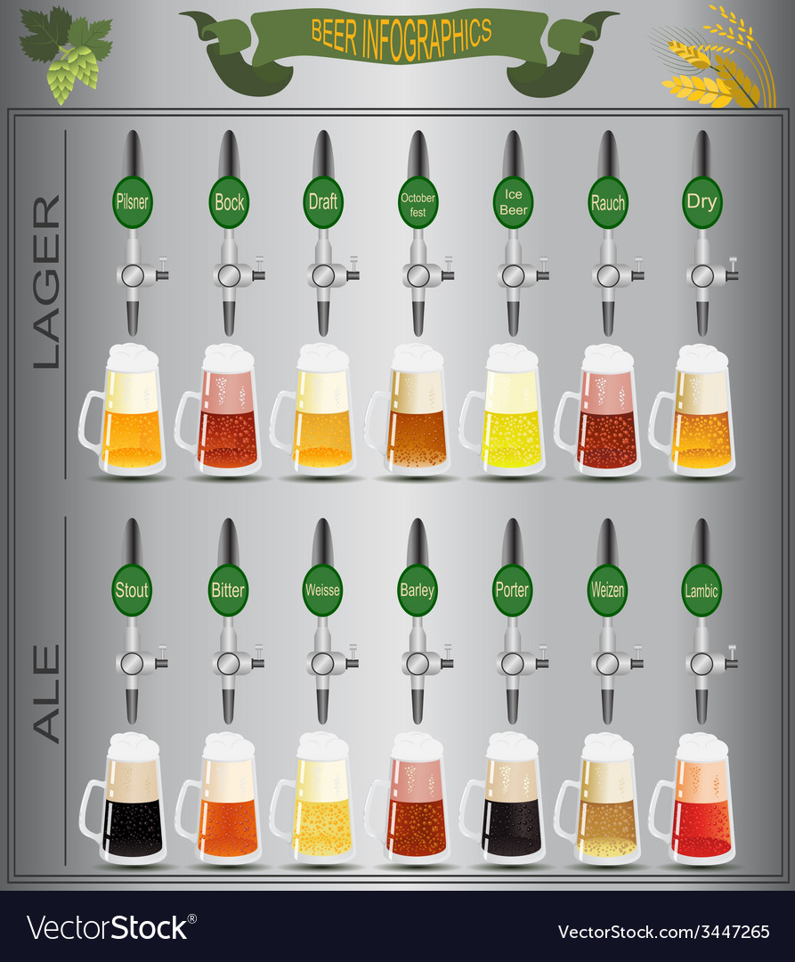 Beer menu set creating your own infographics