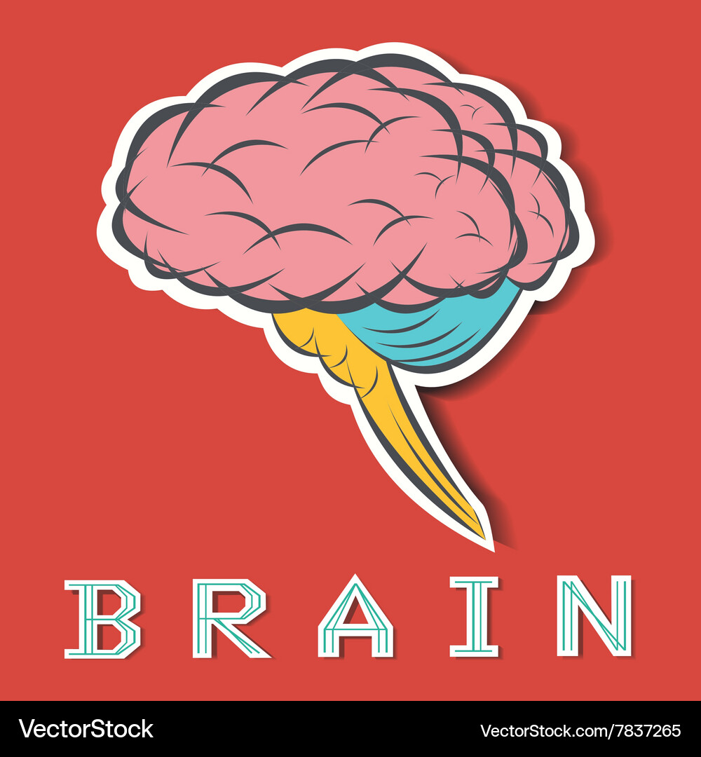 Brain Royalty Free Vector Image - VectorStock