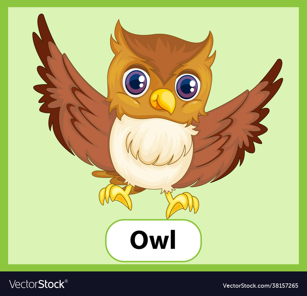 Educational english word card owl Royalty Free Vector Image