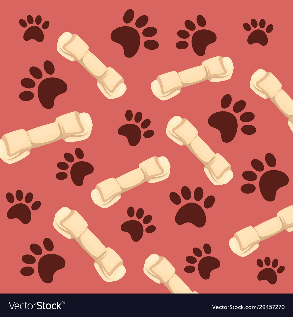 Background bones dog and paw prints