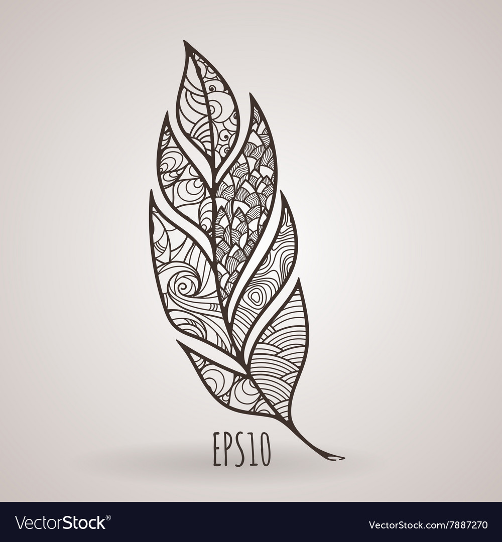 Ornate intricate feather doodle entangle
