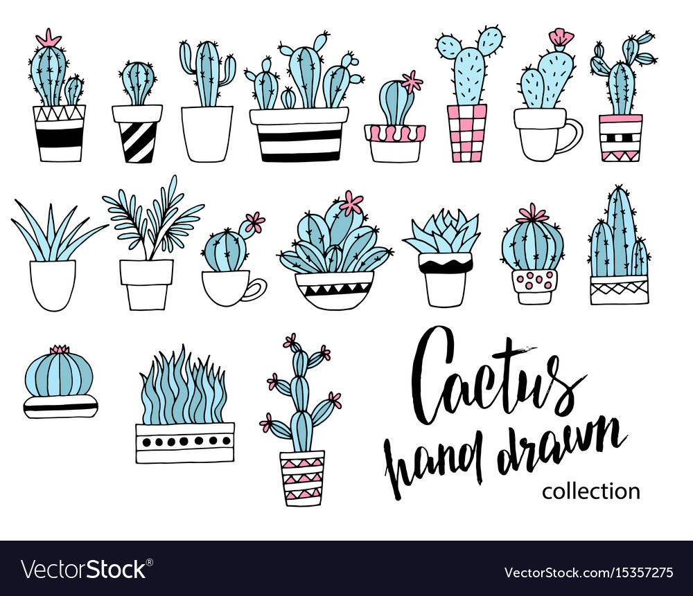 Cactus Doodle Set Hand Drawn Royalty Free Vector Image 6783