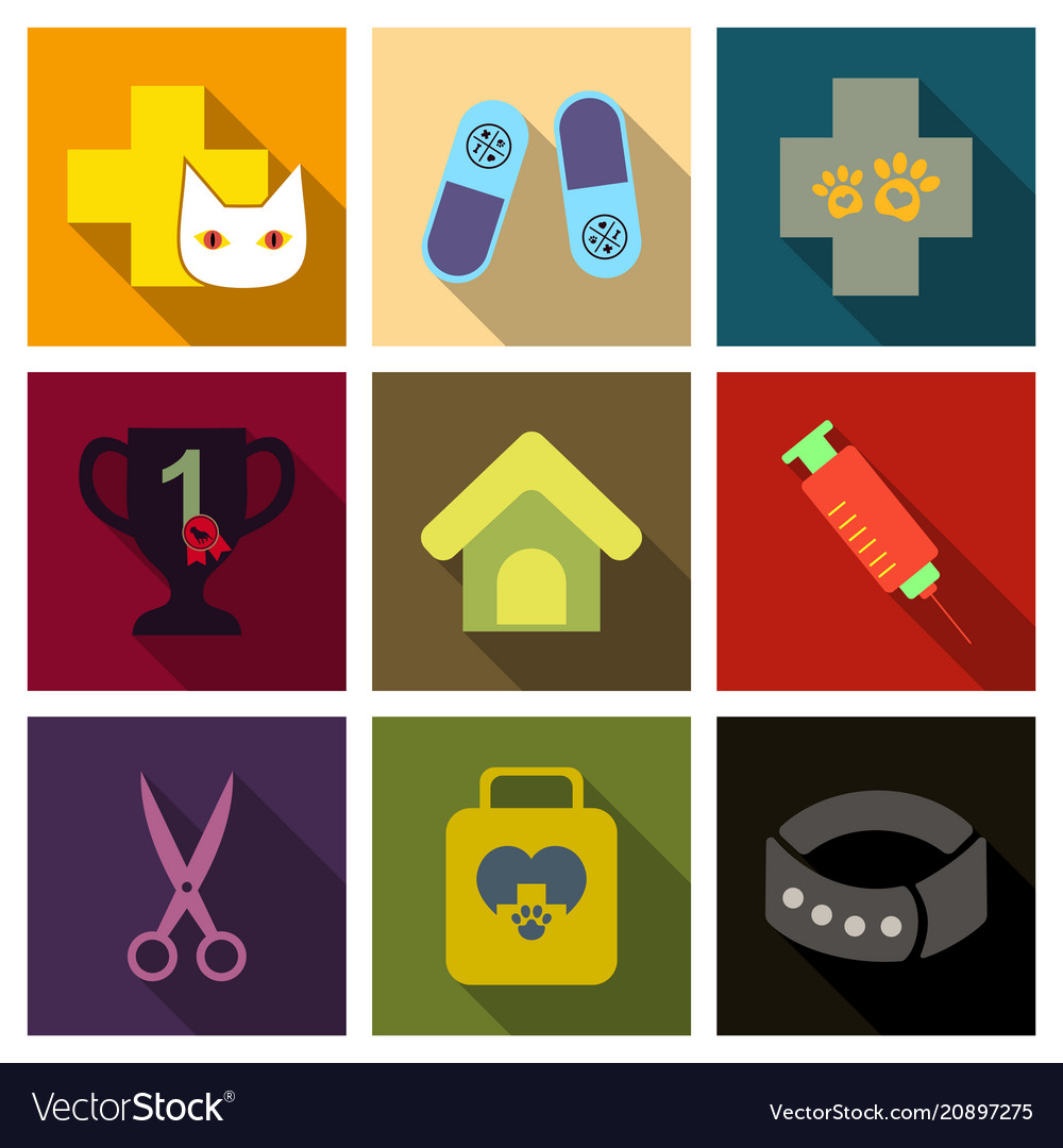 Set of flat icons veterinary science