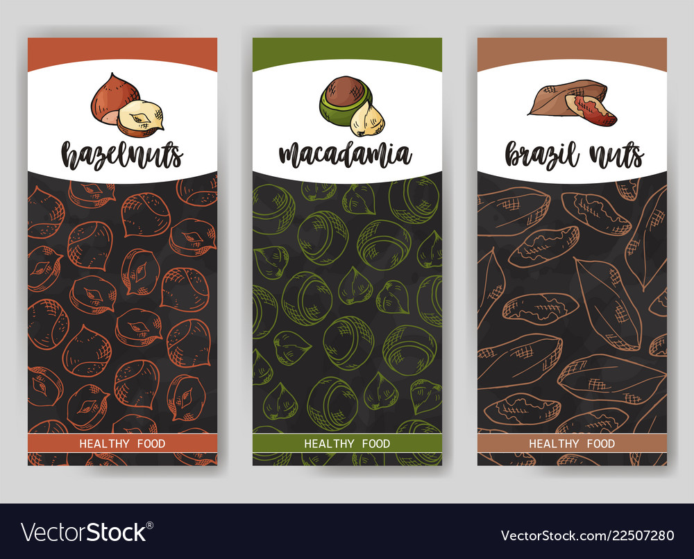 Natural nuts and seeds template hand drawn