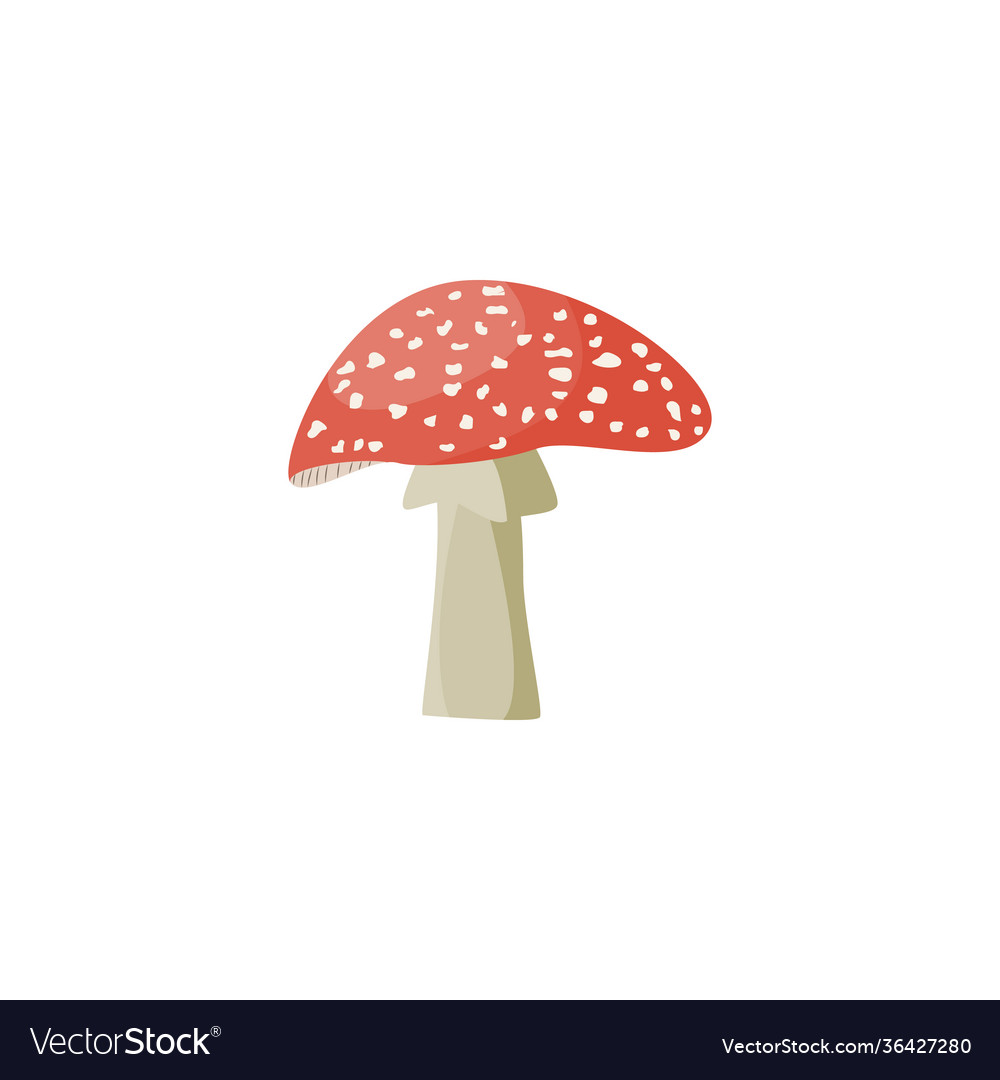 Toxic forest fly-agaric or amanita mushroom flat