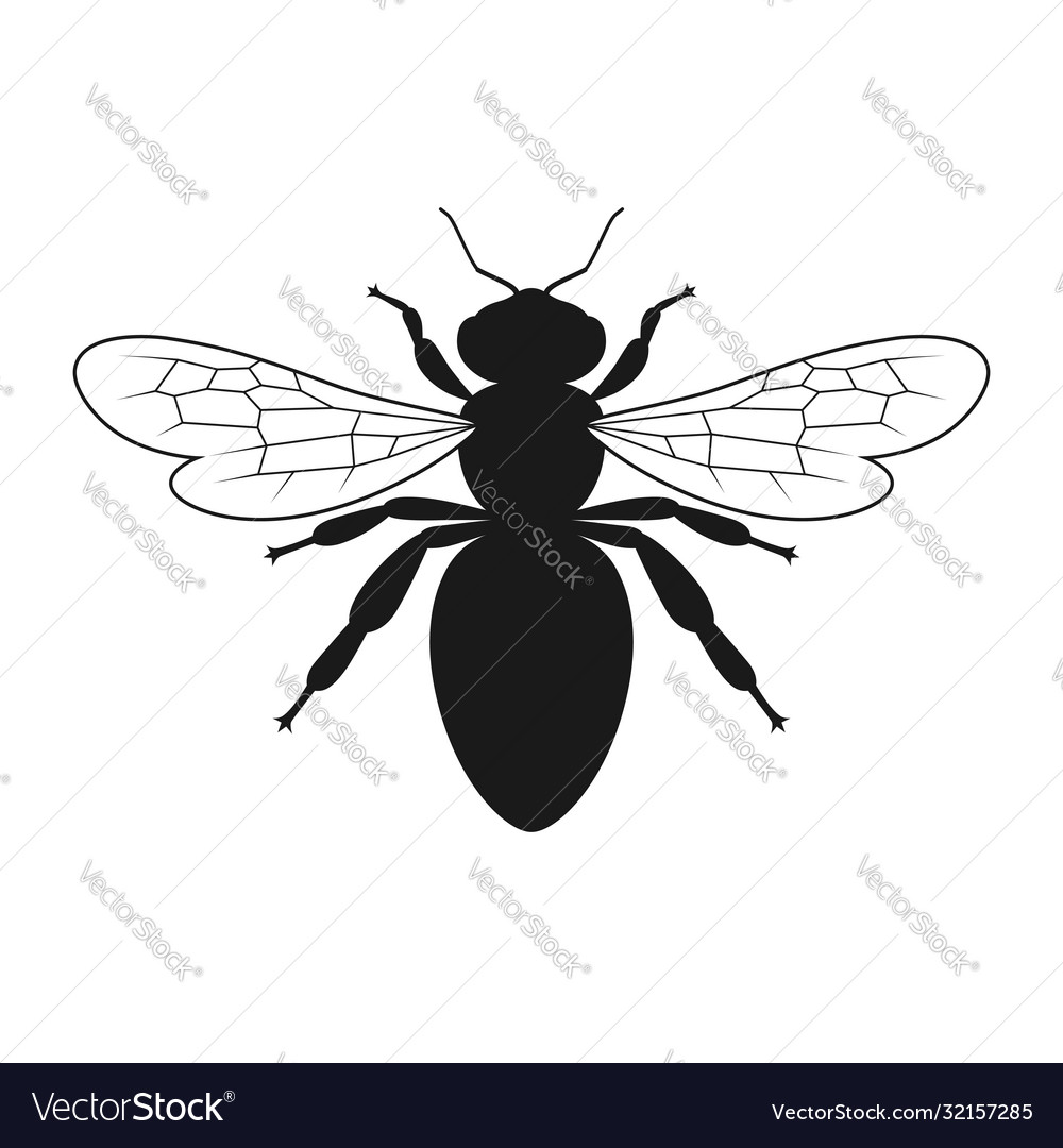 Bee black Royalty Free Vector Image - VectorStock