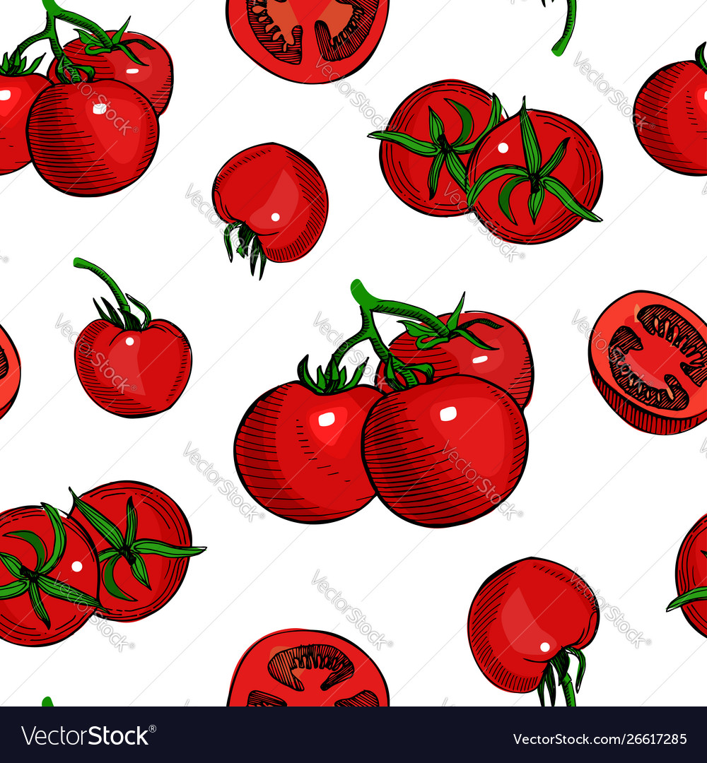 Tomato hand drawn seamless patterndetailed