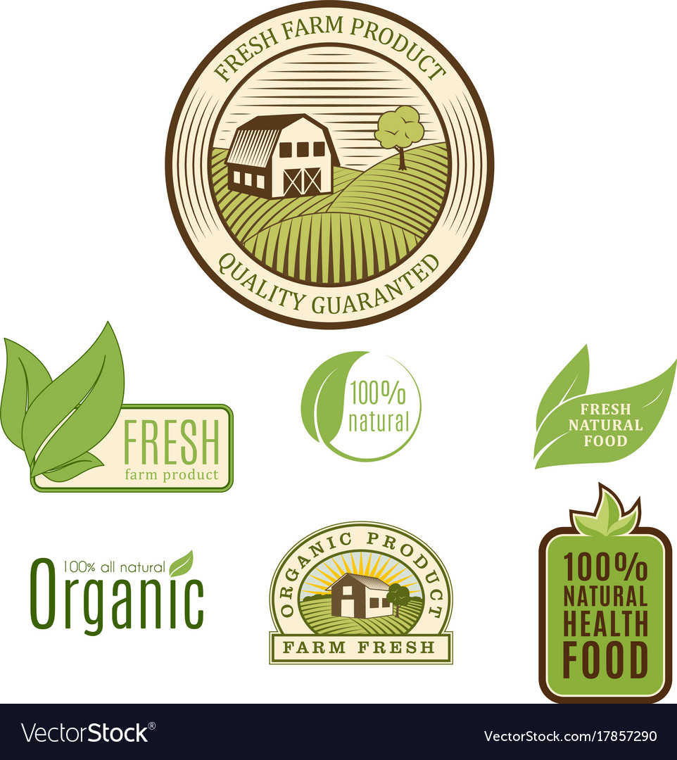 Bio Farm Organic Eco Healthy Food Templates And Vector Image