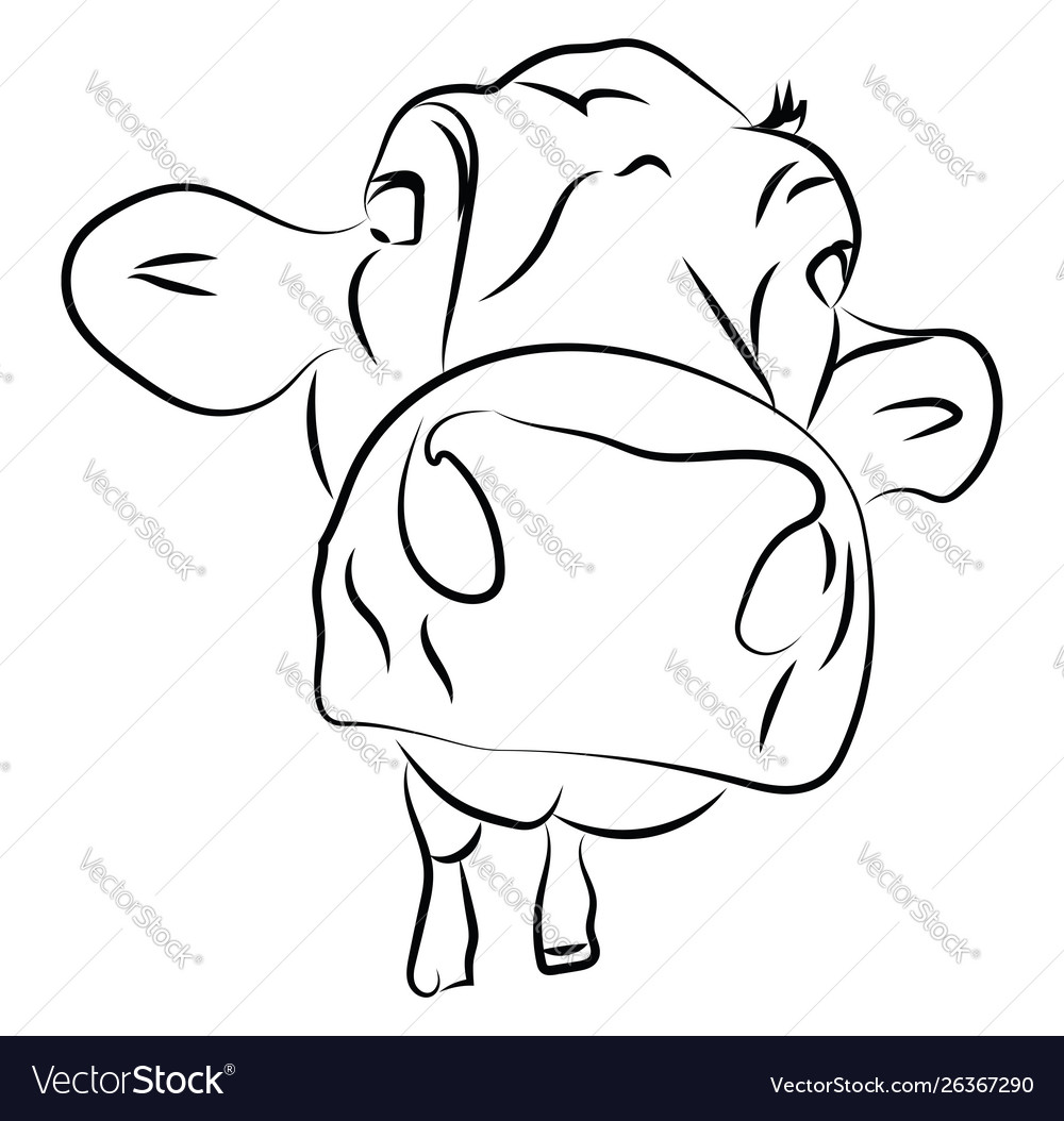 Cow Head Sketch