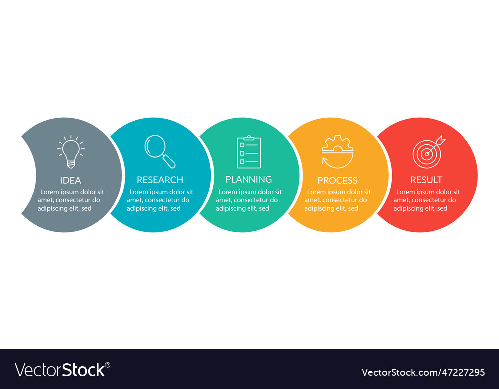 5 step option infographics Royalty Free Vector Image