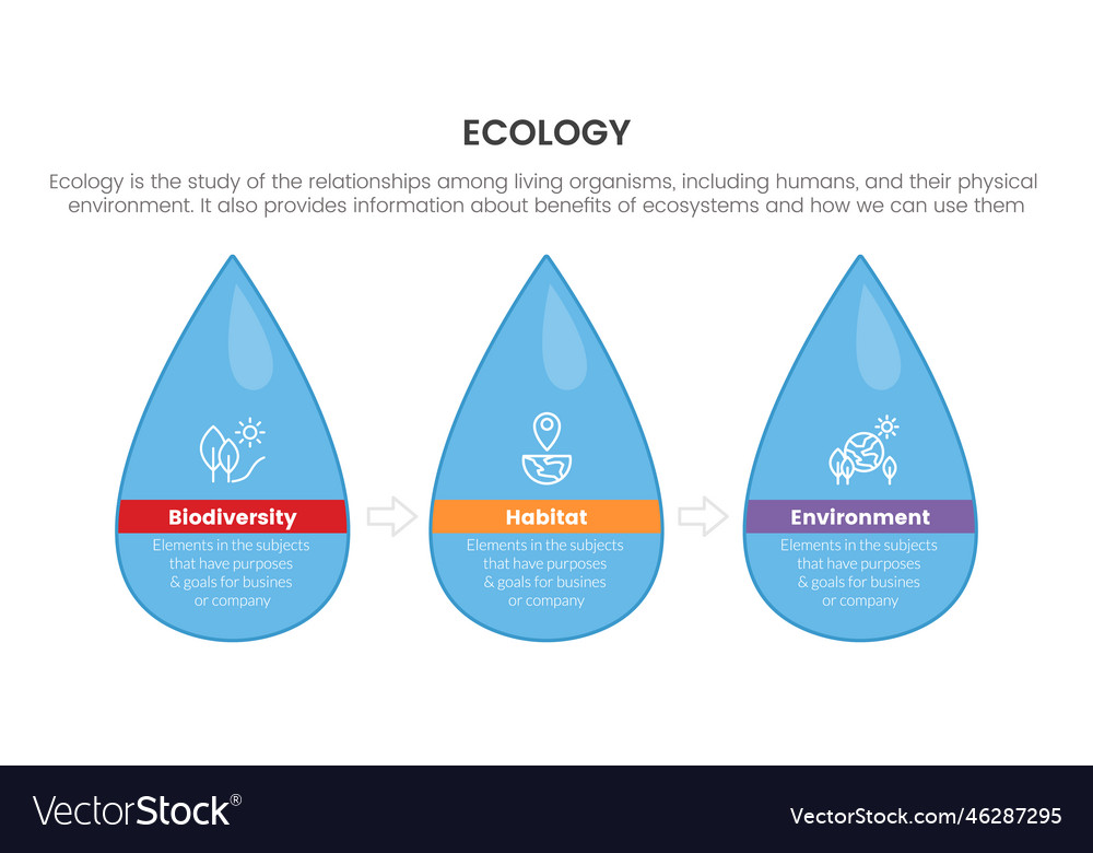 Ecology nature environment infographic with water Vector Image