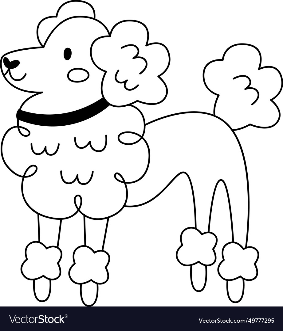 Poodle dog outline Royalty Free Vector Image - VectorStock