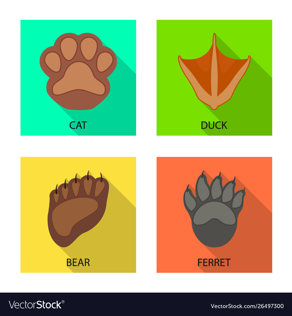 Isolated object step and walk icon set vector image Isolated object step and walk icon set