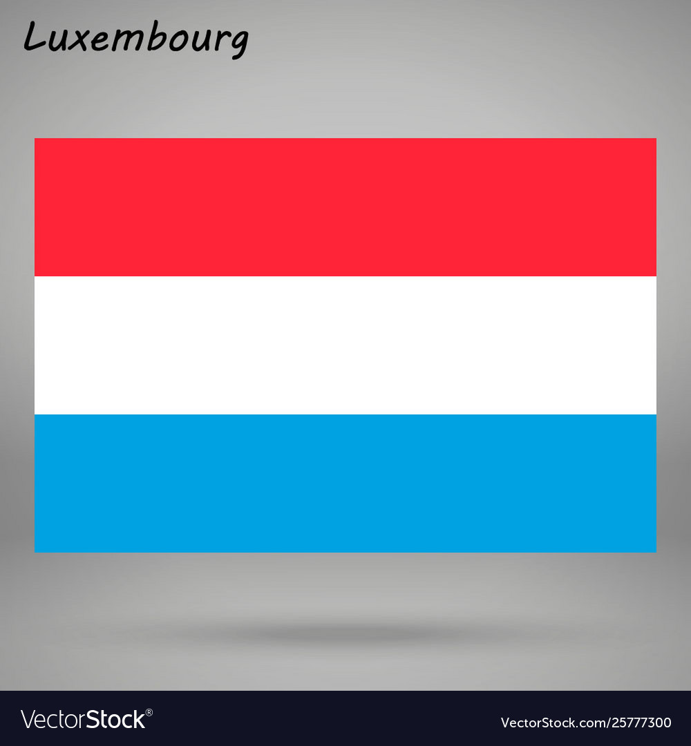 Simple flag isolated vector image Simple flag isolated