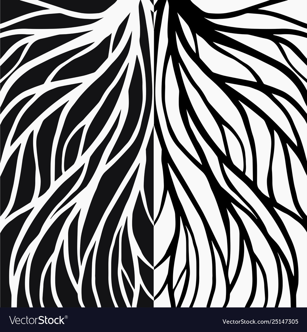 Root pattern vector image Root pattern