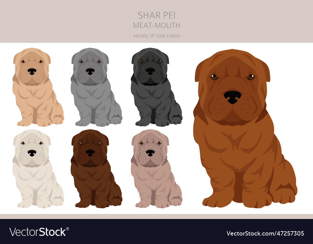 Shar pei moderne Fleisch Mund Welpe Clipart