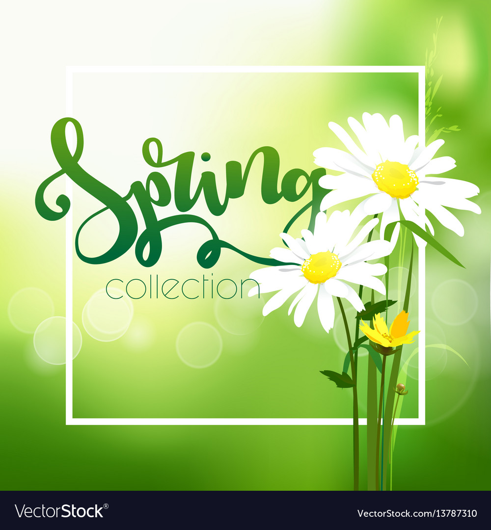 Spring time on background with flowers