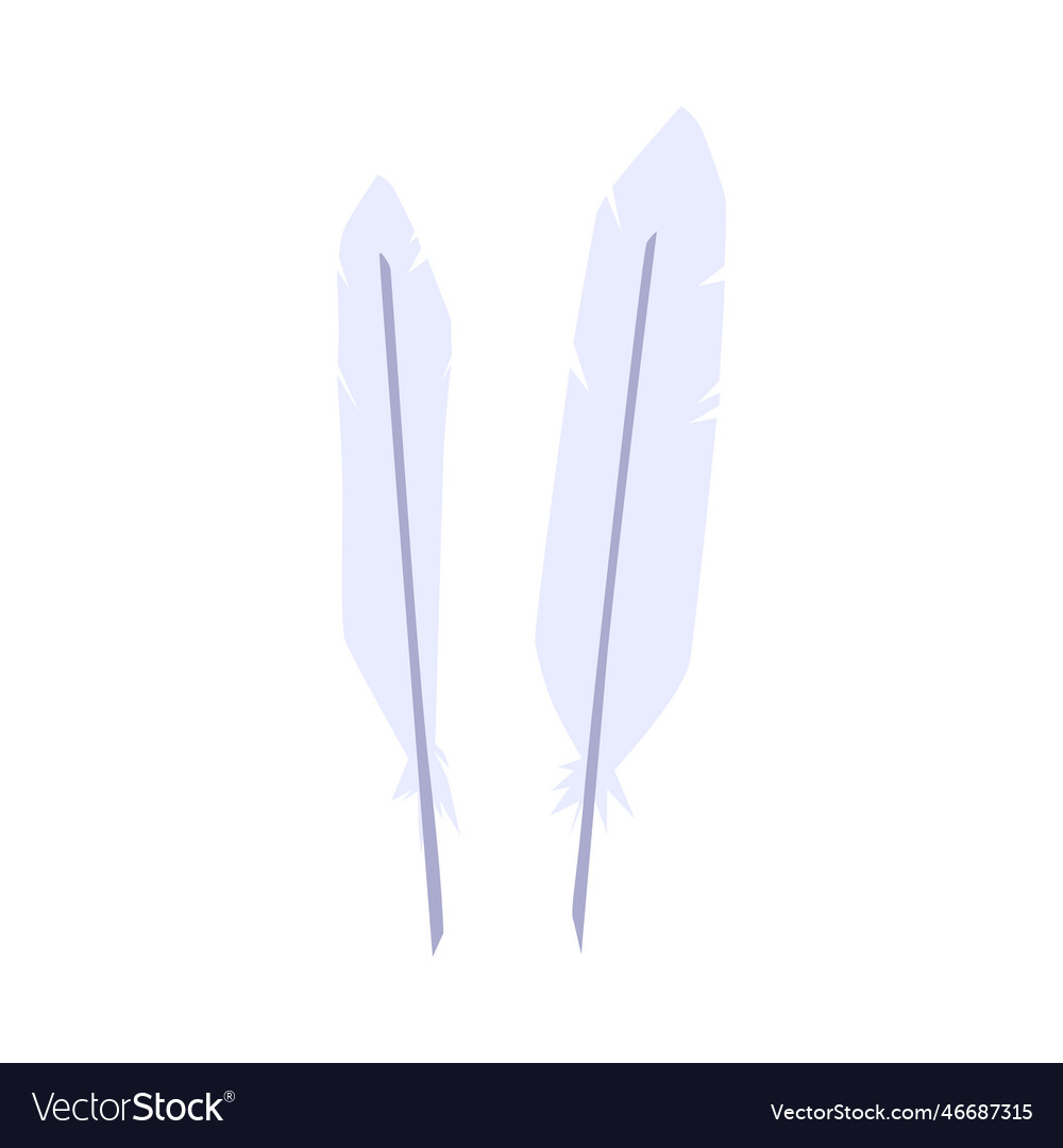 White bird feathers flat