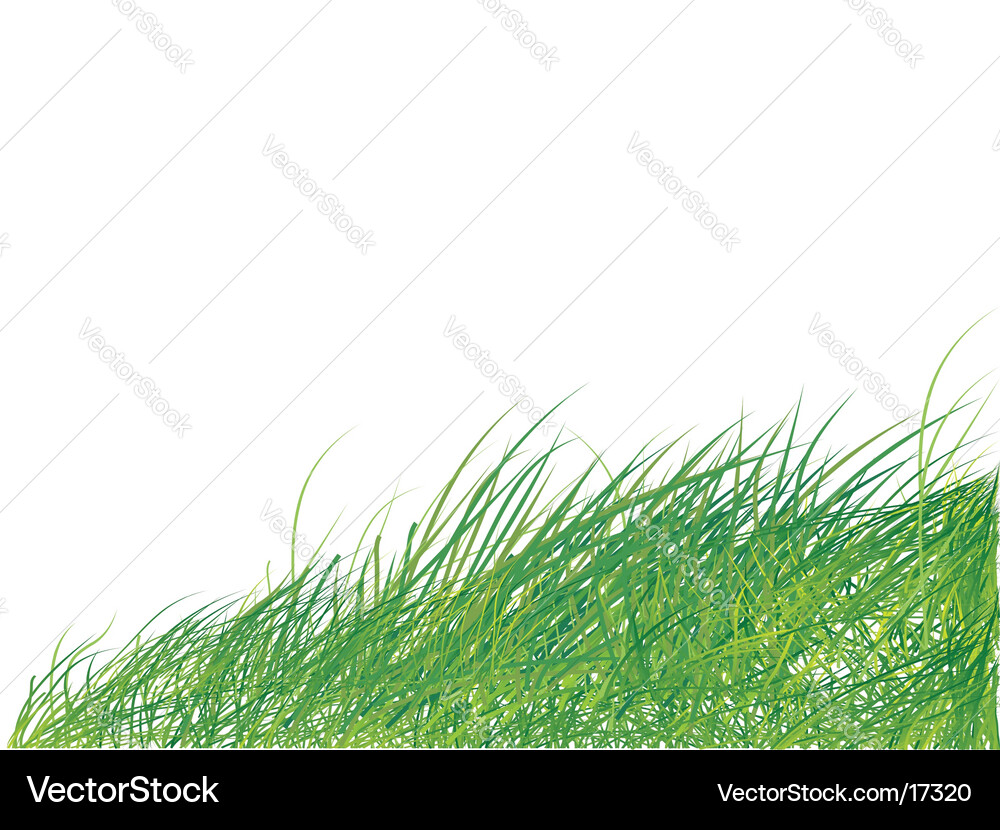 Grass background Royalty Free Vector Image - VectorStock