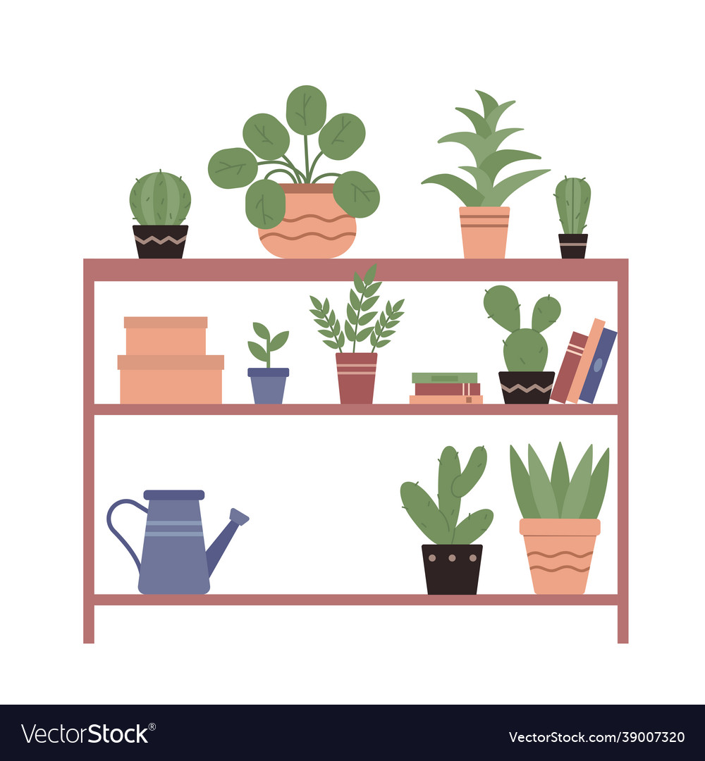 House plants in ceramic pots books watering can