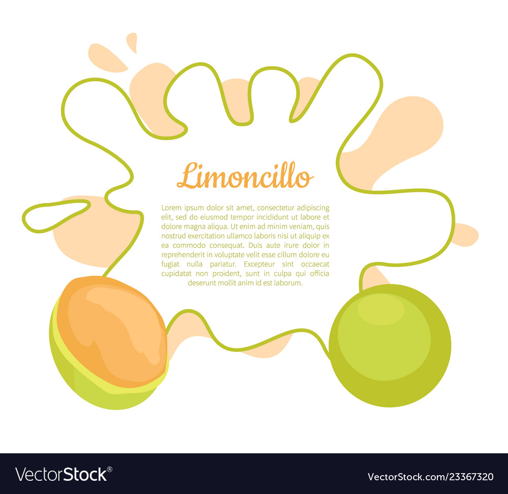 Limoncillo fruit whole cut spanish lime poster Vector Image