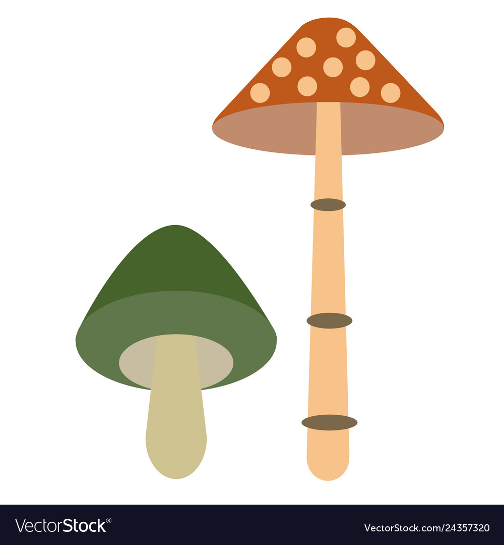 Mushroom color simple