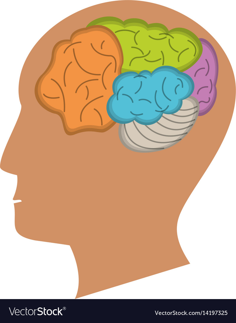 Human head brain process icon Royalty Free Vector Image