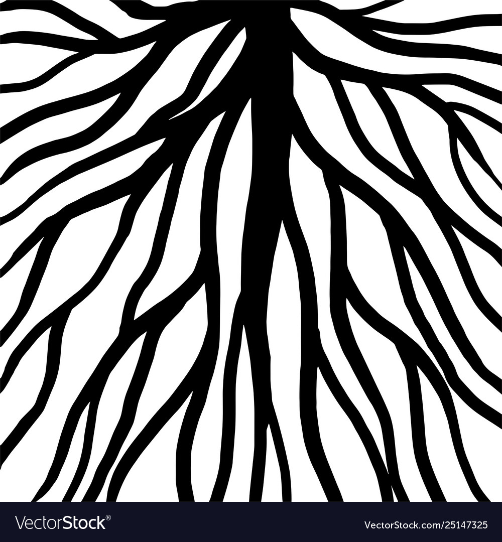Root Pattern Abstract