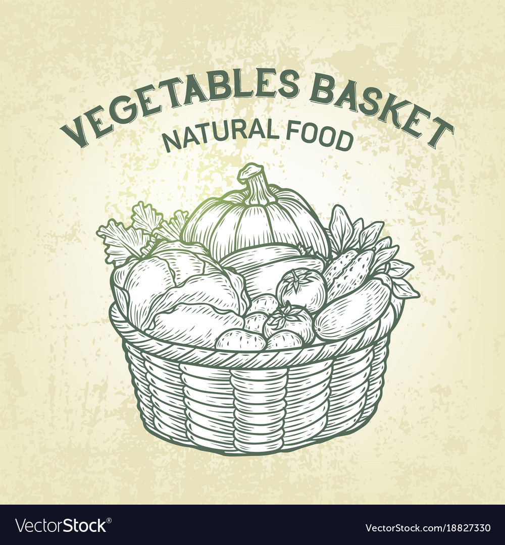 Free Vector, Realistic drawing vegetables