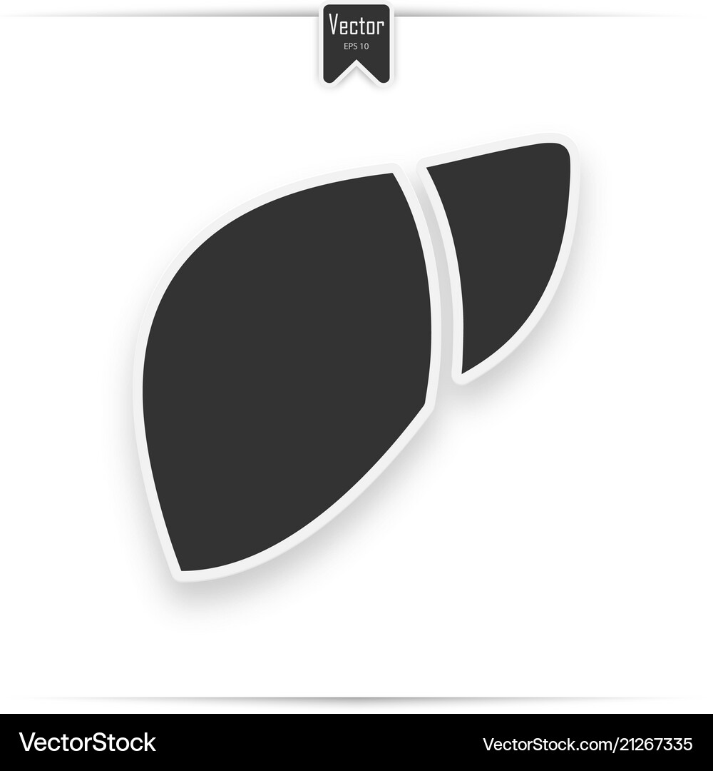 Liver icon in trendy flat style Royalty Free Vector Image