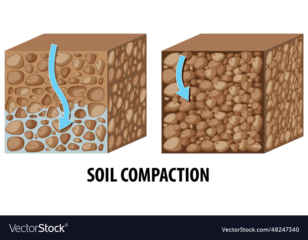 Comparison Of Soil Compaction Density In Science Vector Image compaction-definition