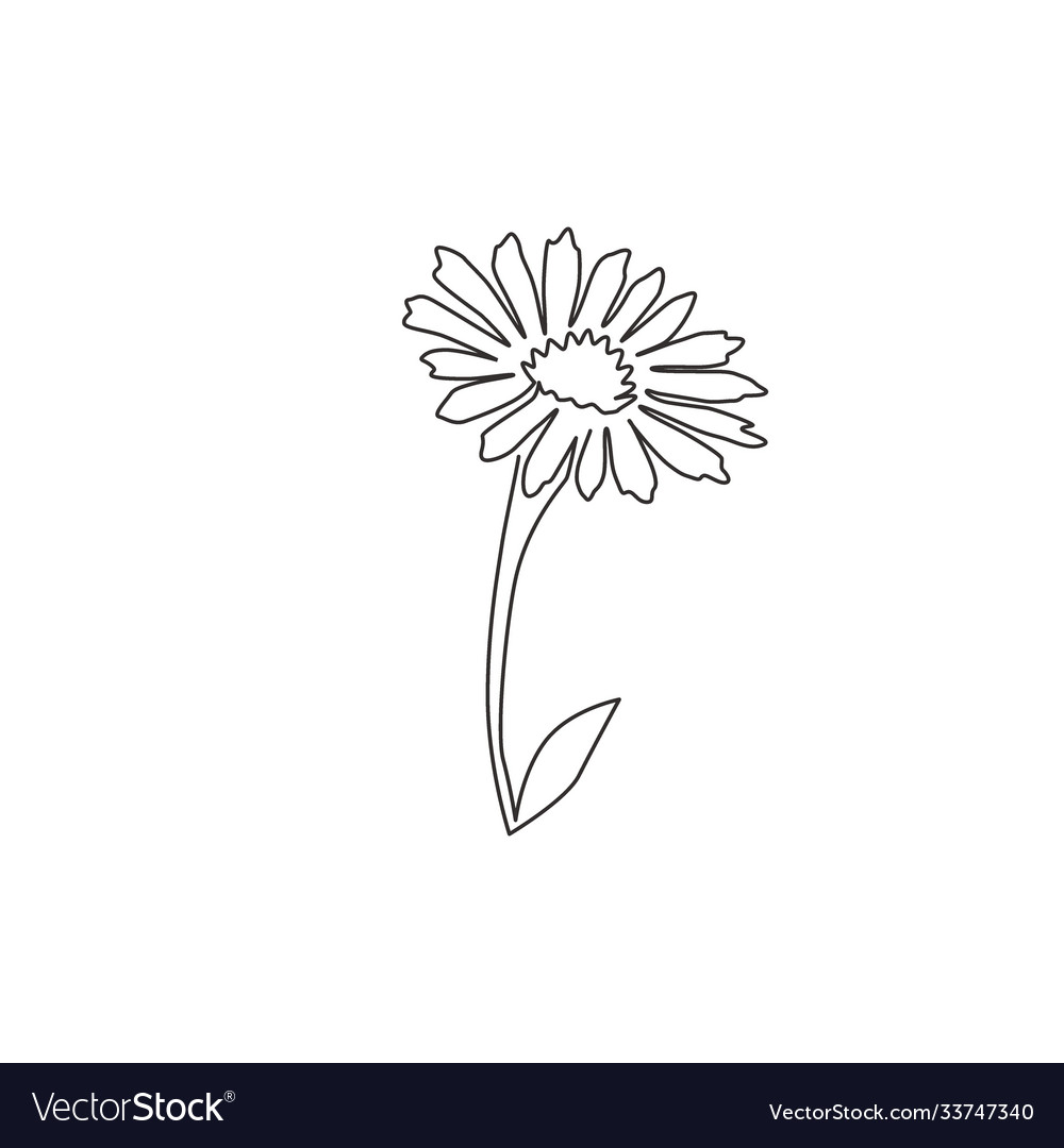 Single continuous line drawing beauty fresh Vector Image